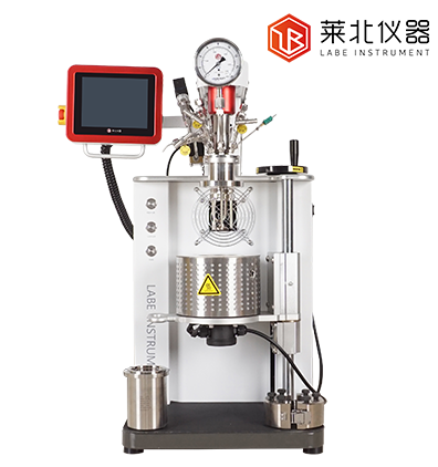 LB250 臺式固定頭機械攪拌反應釜